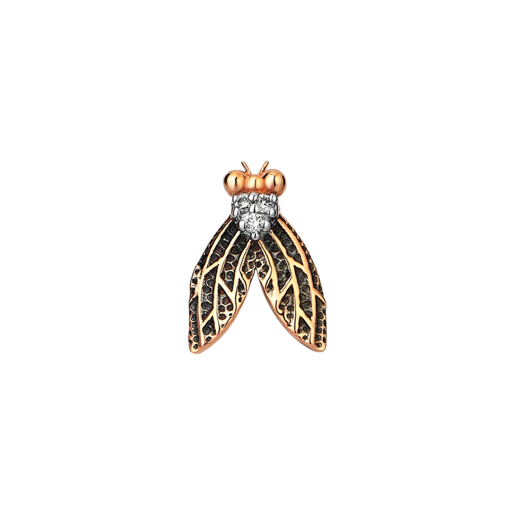 Mosca