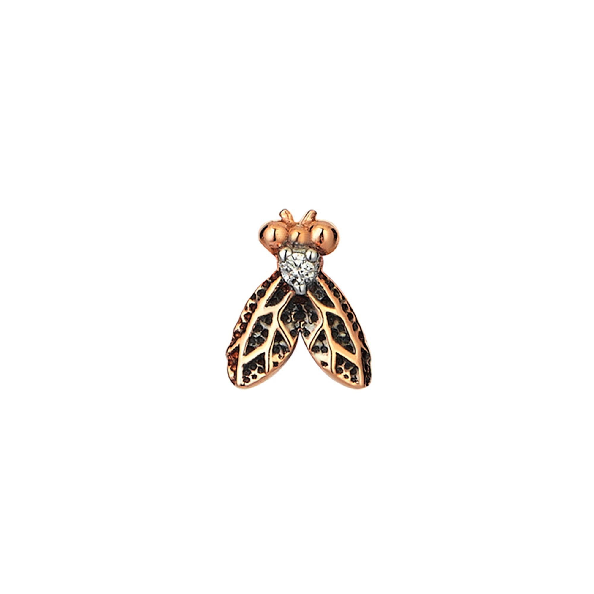 Mosca