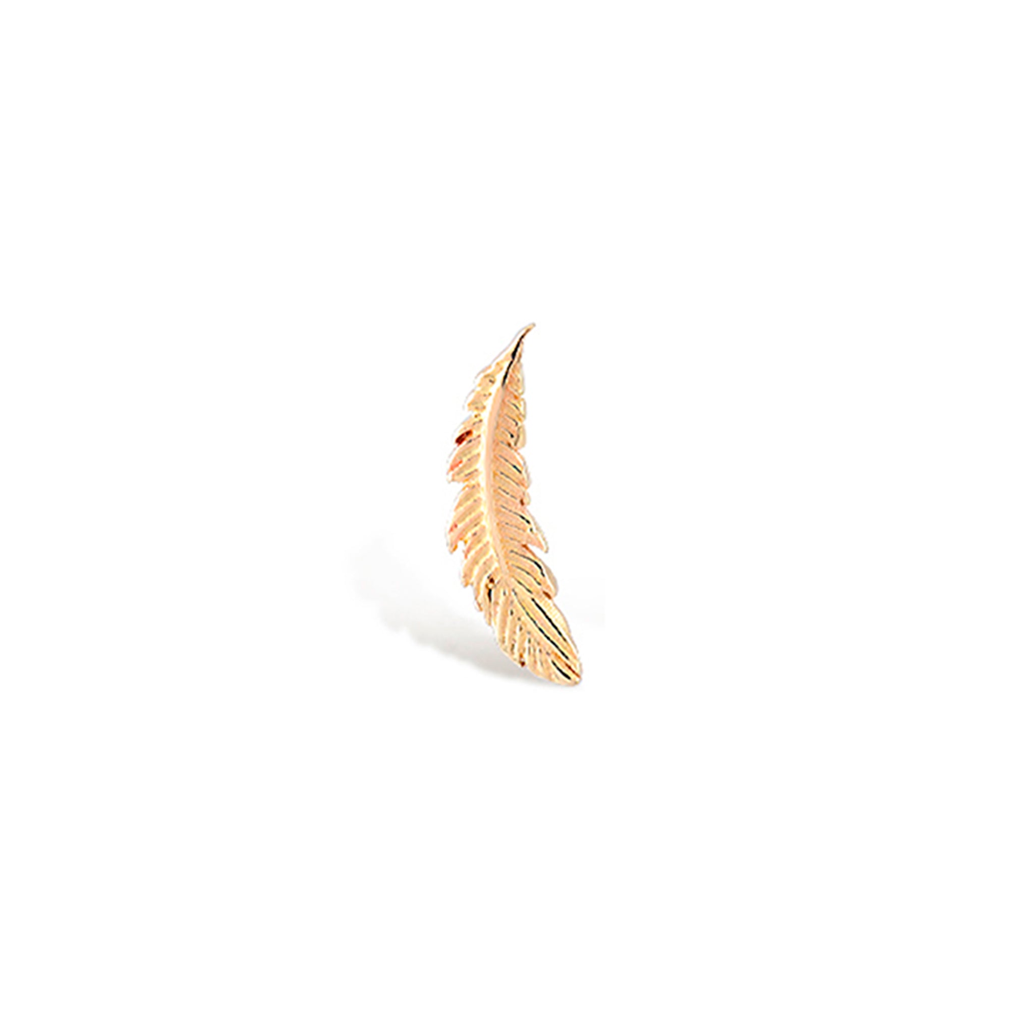 Piercing Pluma