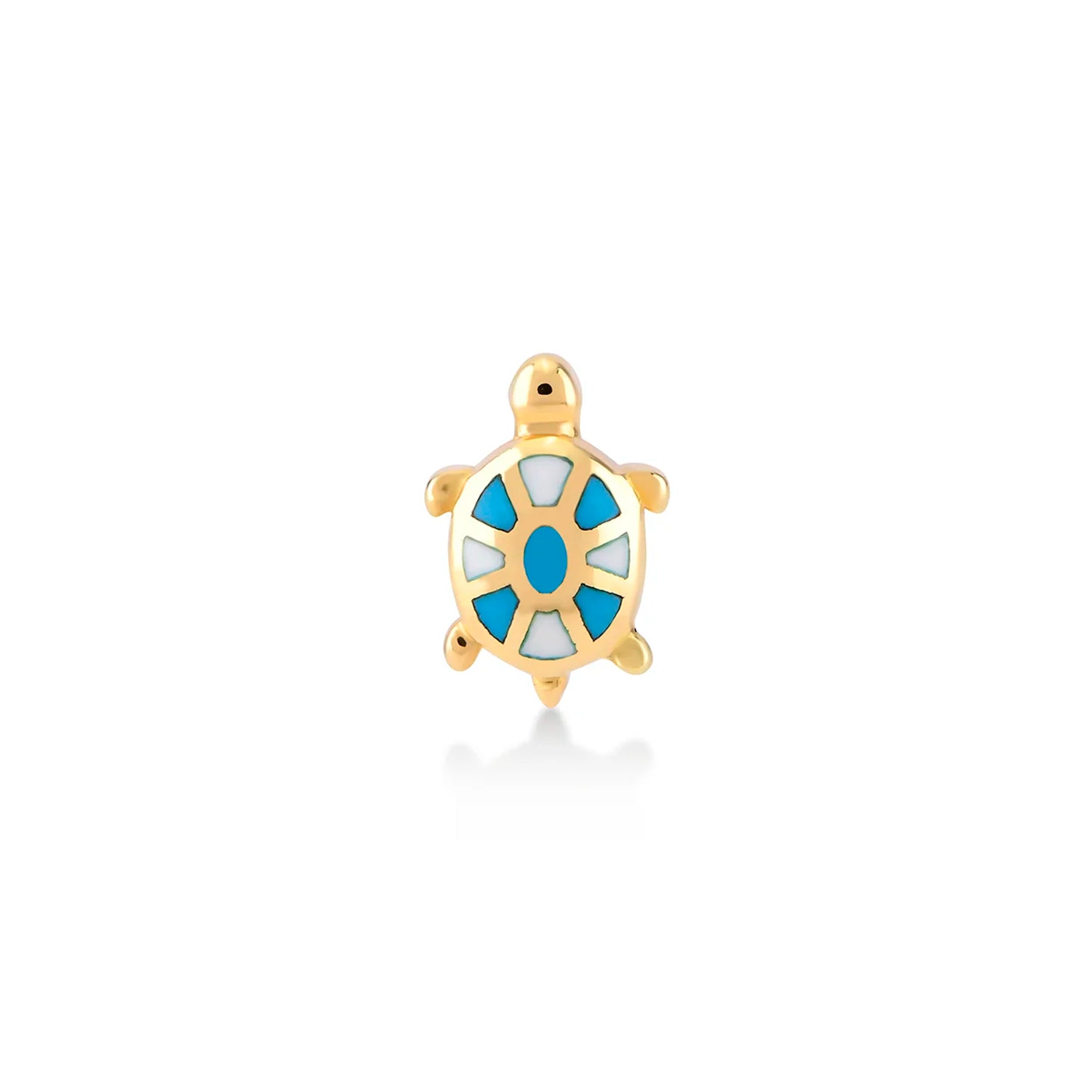 Piercing Tortuga